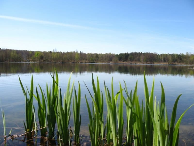 Озеро Викнина