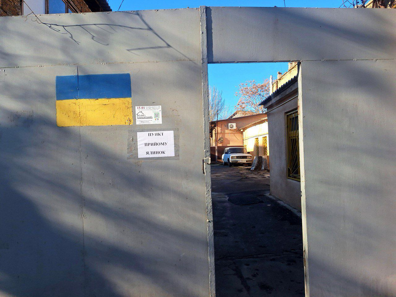 В Одесі запрацювали пункти прийому ялинок: повний список адрес