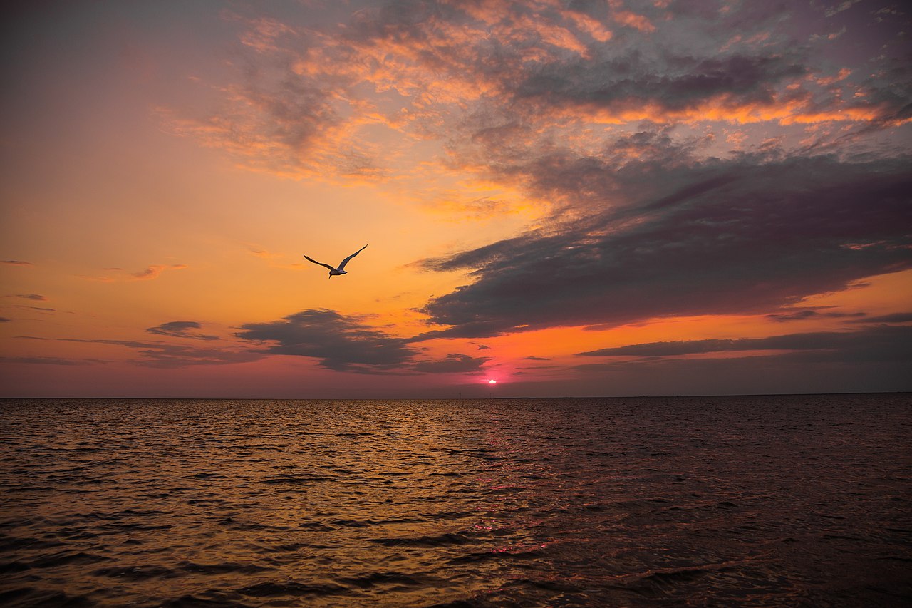 Море в окупації. Які курорти України захопила Росія під час війни