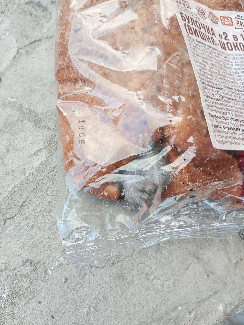 Под Днепром покупатель булочки обнаружил в ней живую мышь (фото)