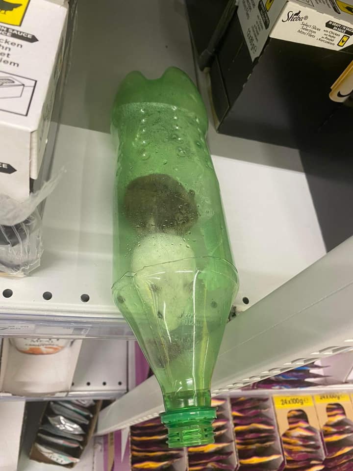 У київському супермаркеті на полиці з котячим кормом виявили хом'яків у пляшці (відео)