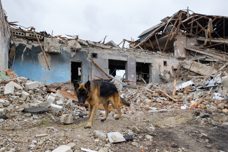 "Оккупанты прятались за нашими спинами": репортаж из освобожденных Балаклеи и Изюма