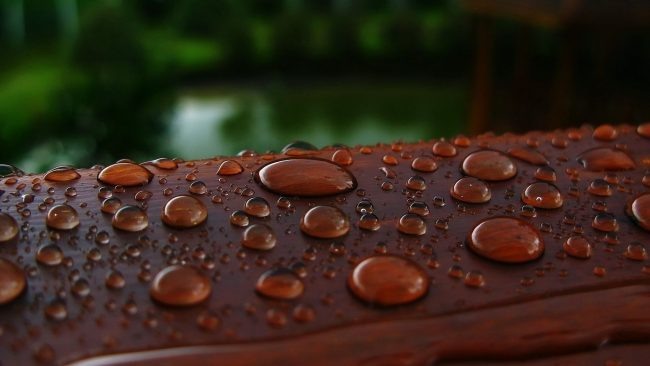 Блаватний, цинамоновий та брунатний: назви кольорів українською, про які ви не знали