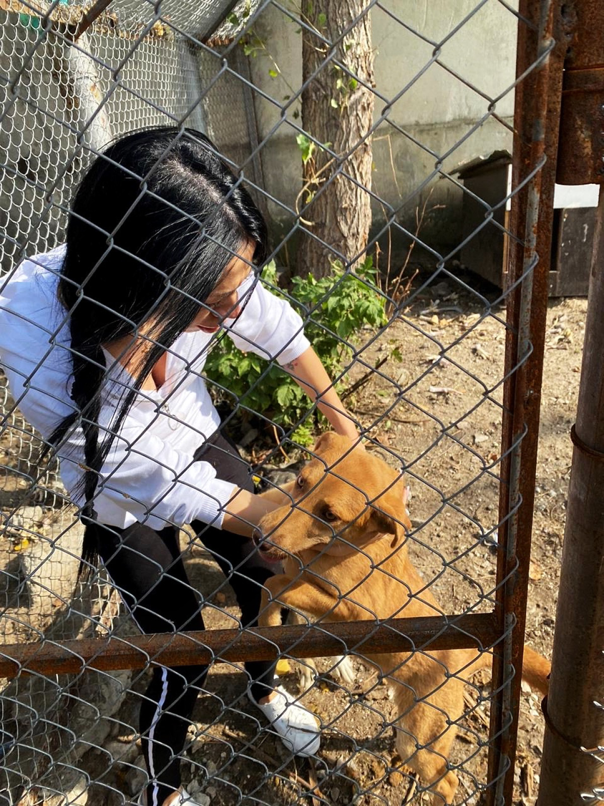 Хто така Маріанна Буданова: маловідомі факти з життя дружини начальника ГУР