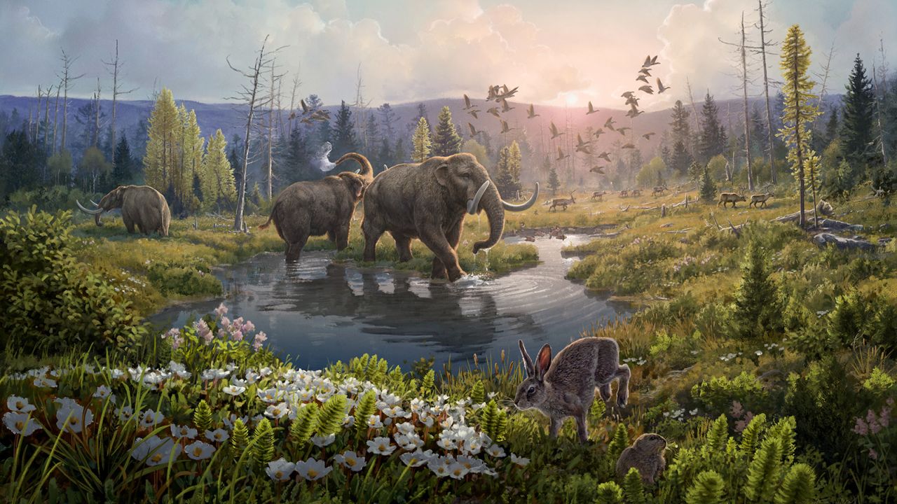 У Гренландії виявили ДНК, якій 2 млн років. Ці землі населяли тварини та рослини!