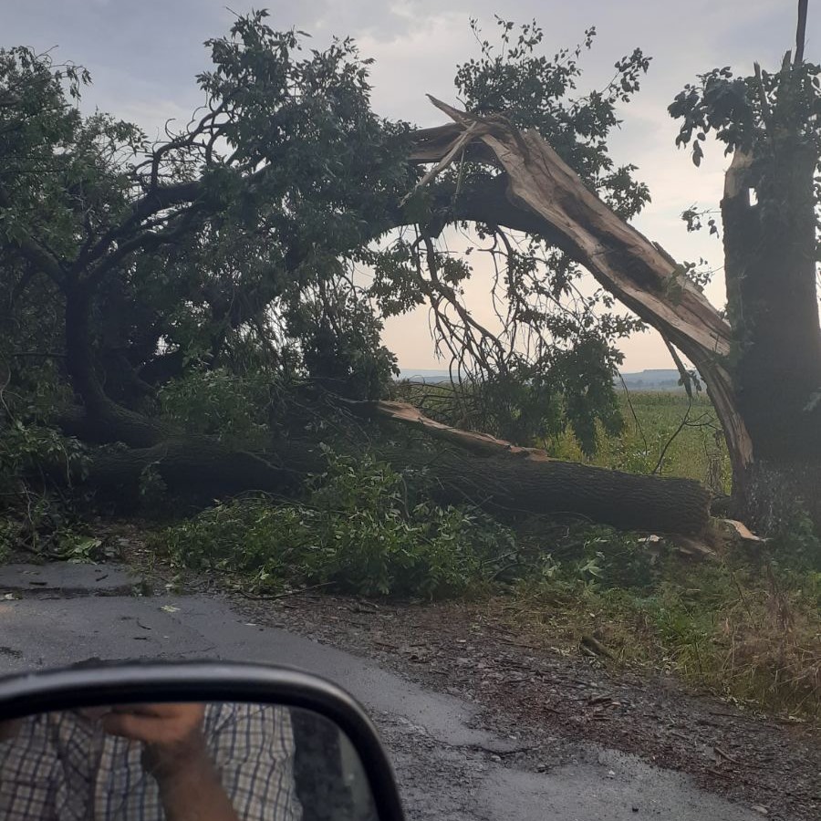 Україну накрило потужним ураганом: дерева падали, як сірники