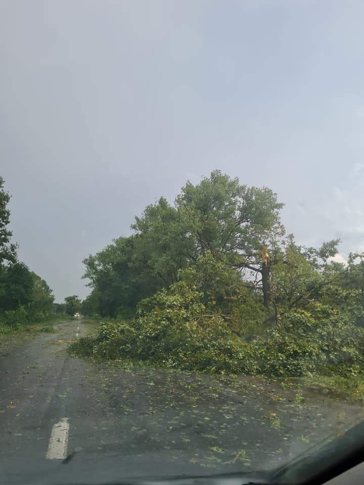 Україну накрило потужним ураганом: дерева падали, як сірники