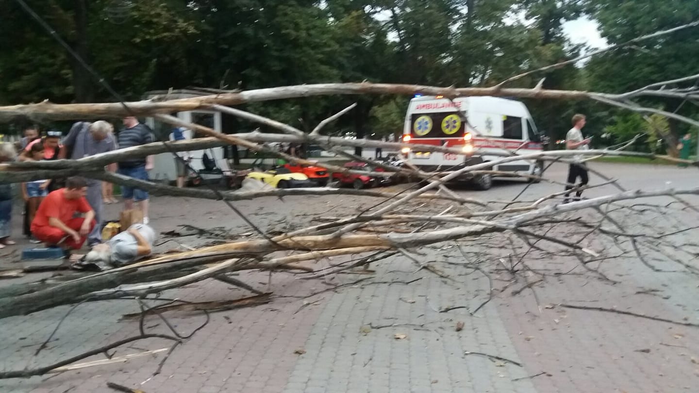 В Днепре сухое дерево упало на мужчину: сломаны обе ноги