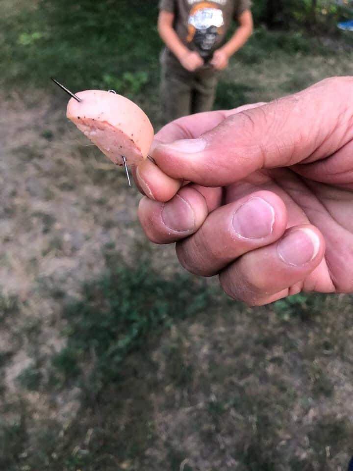 Активизировались догхантеры? Киевлян предупредили об опасности при выгуле собак (фото)