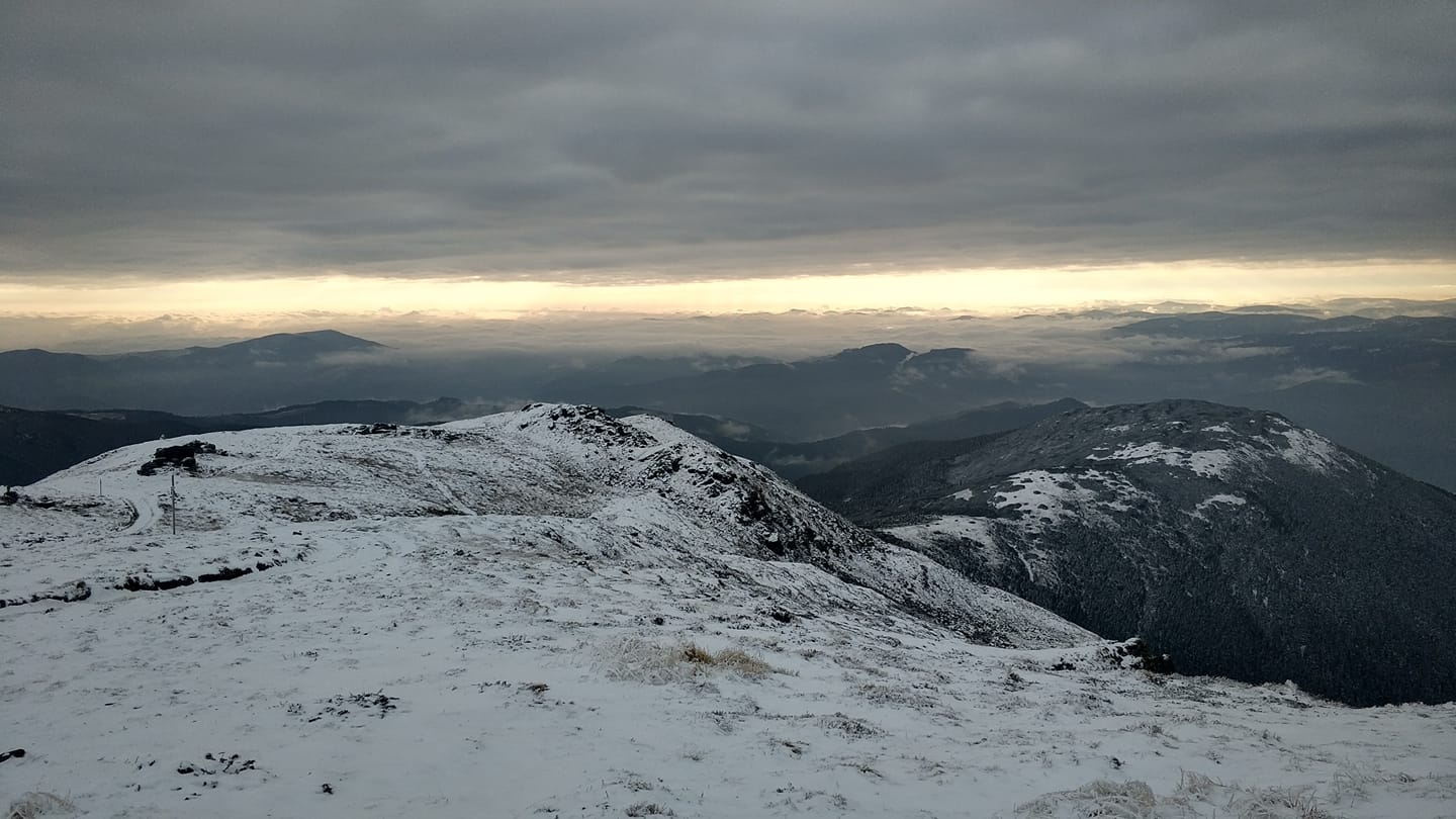 У Карпатах вже перші замети: красу засніжених гір показали на фото