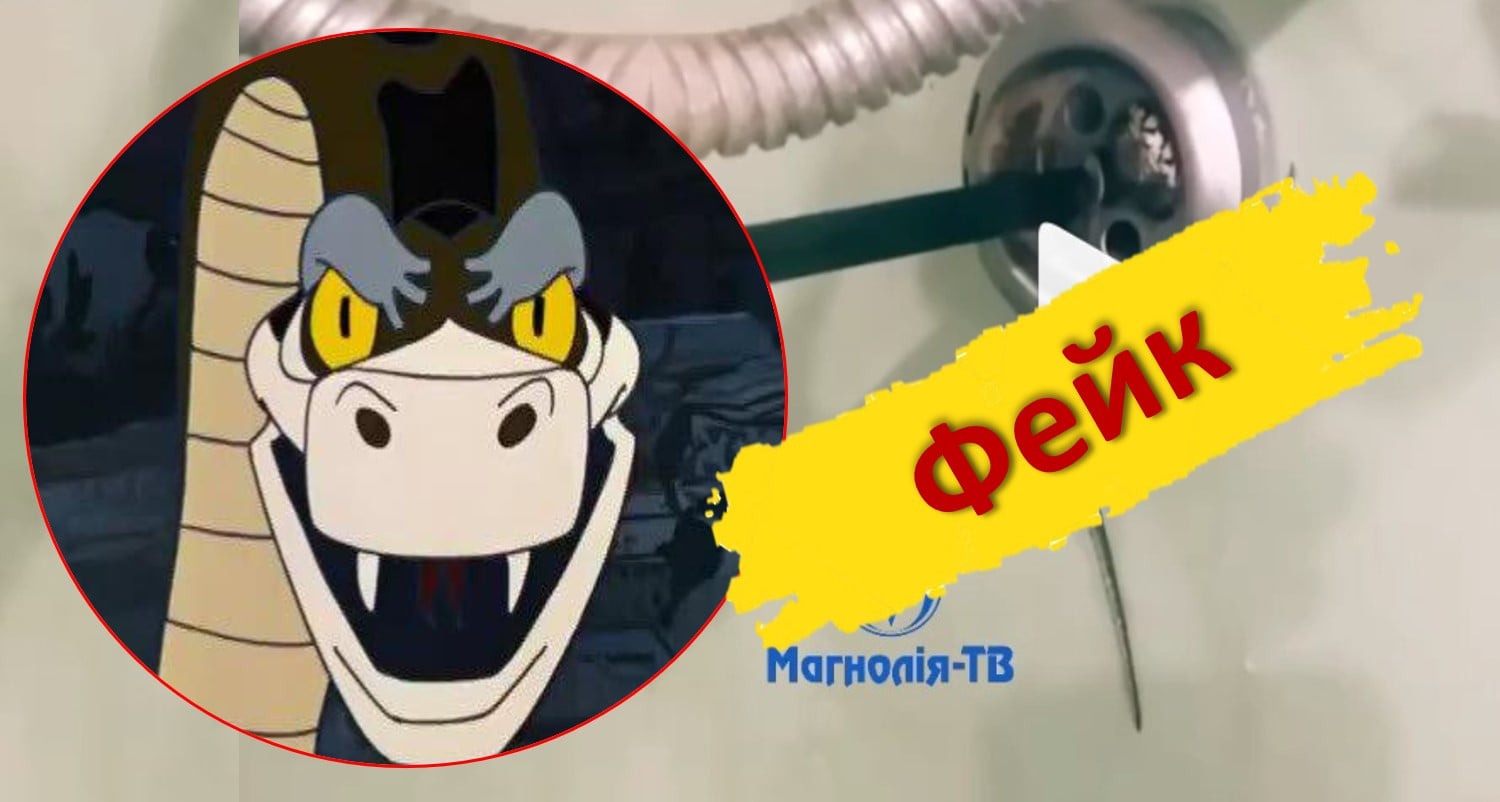 Новость о том, что жителей Ровно "терроризируют" змеи, оказалась фейком (обновлено)