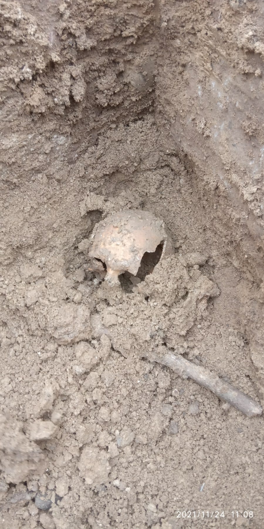 Под Тернополем обнаружили захоронение древних людей: 3-4 тысячелетия до нашей эры