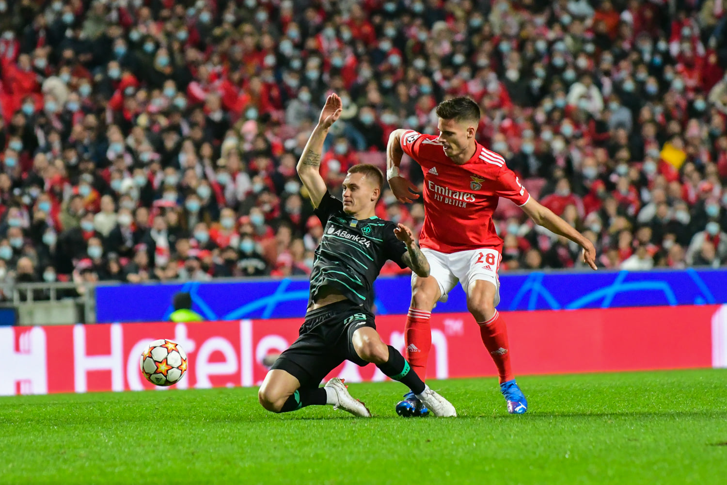 "Динамо" – "Бенфика": анонс матча квалификации Лиги чемпионов