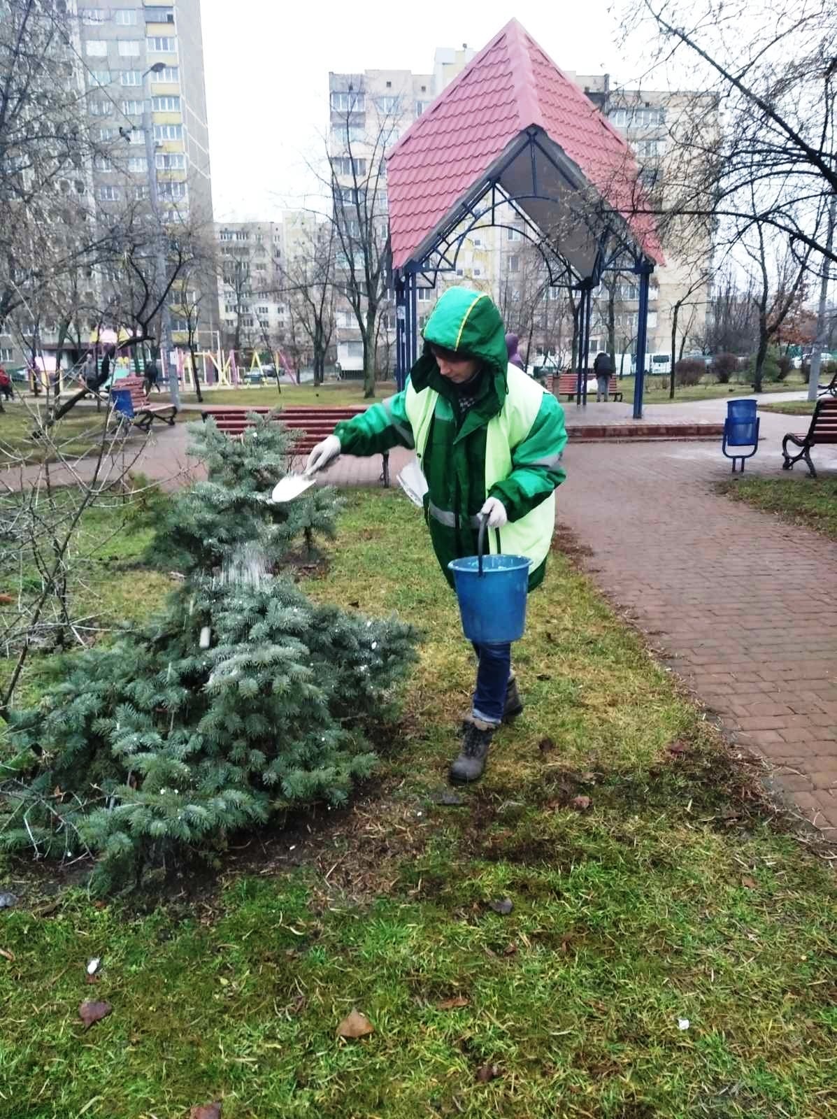 Зрубана в сквері ялинка засмердить всю хату: киян-вандалів вирішили провчити