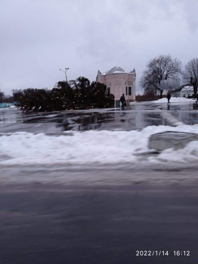 Ураганный ветер повалил новогодние елки в разных городах Украины (видео и фото)