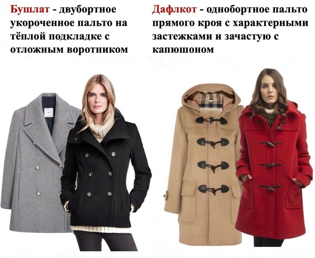 Называем одежду правильно: чем свитшот отличается от худи, а кофта от свитера