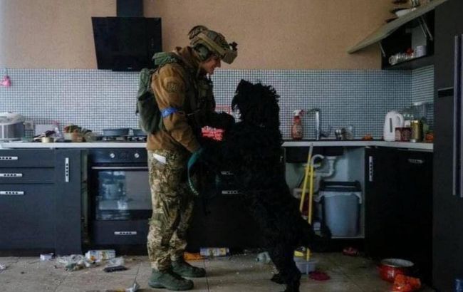 Животные, которые стали во время войны талисманами: кто останется в нашей памяти навсегда