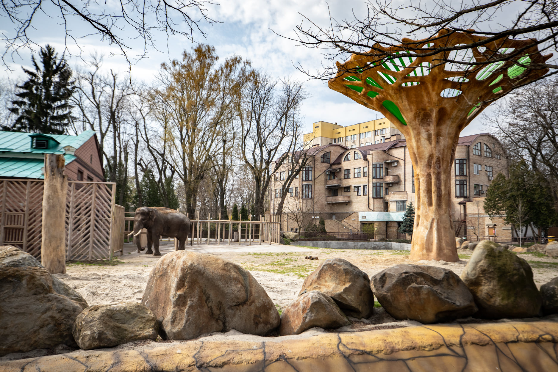 Киевский зоопарк принял беженцев из других зверинцев Украины: невероятно милые фото