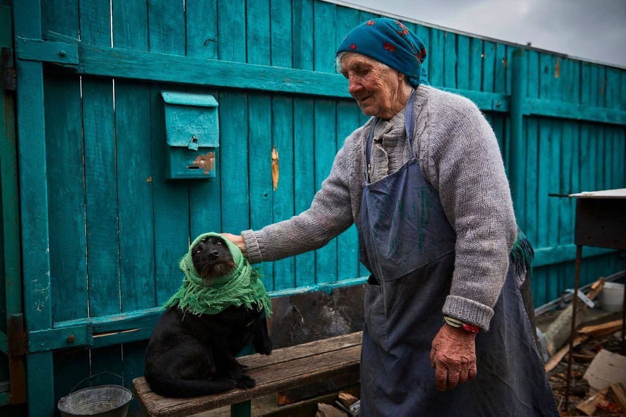 Животные, которые стали во время войны талисманами: кто останется в нашей памяти навсегда