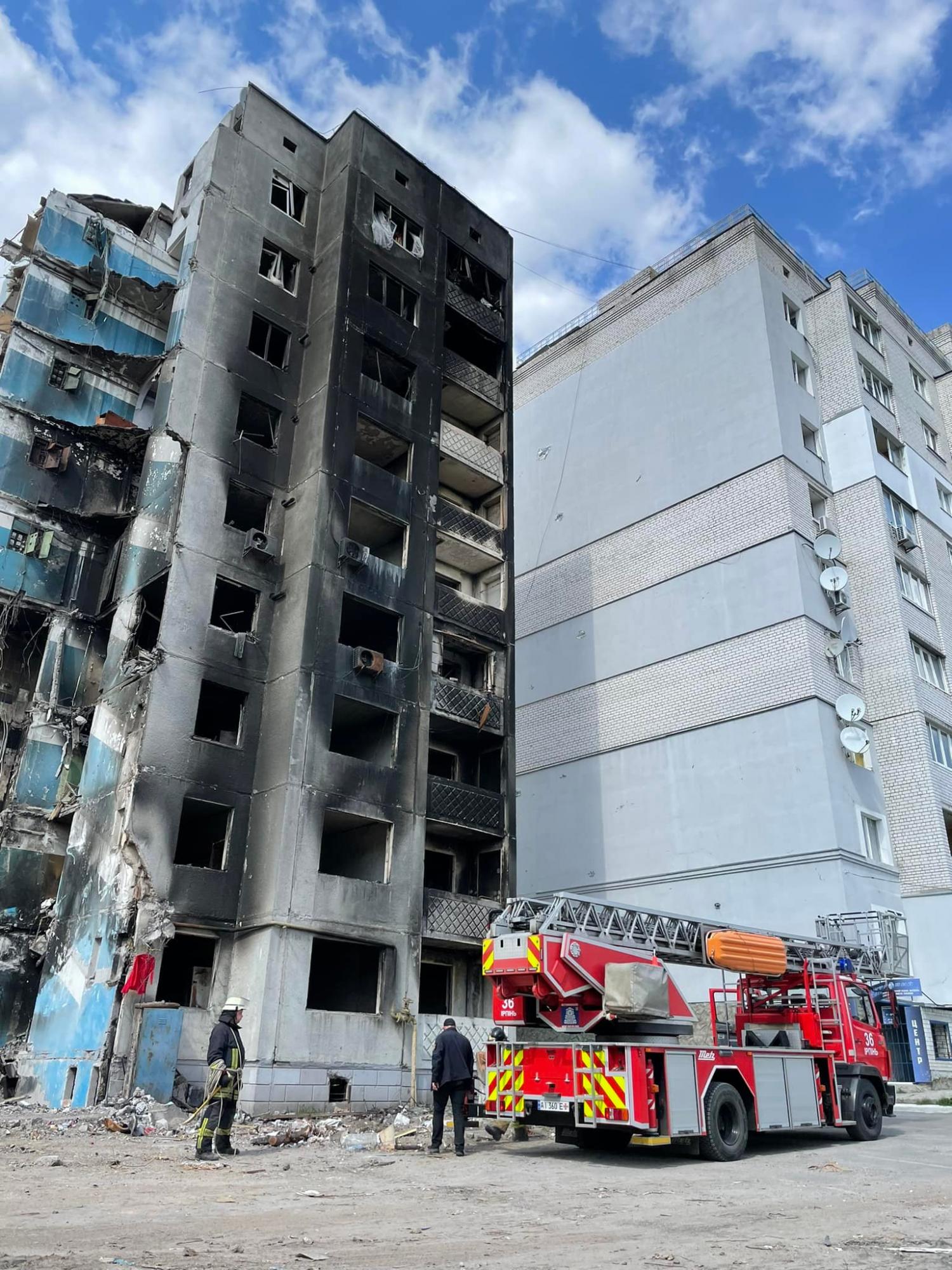 У Бородянці врятували кота, який опинився на 7 поверсі зруйнованого будинку