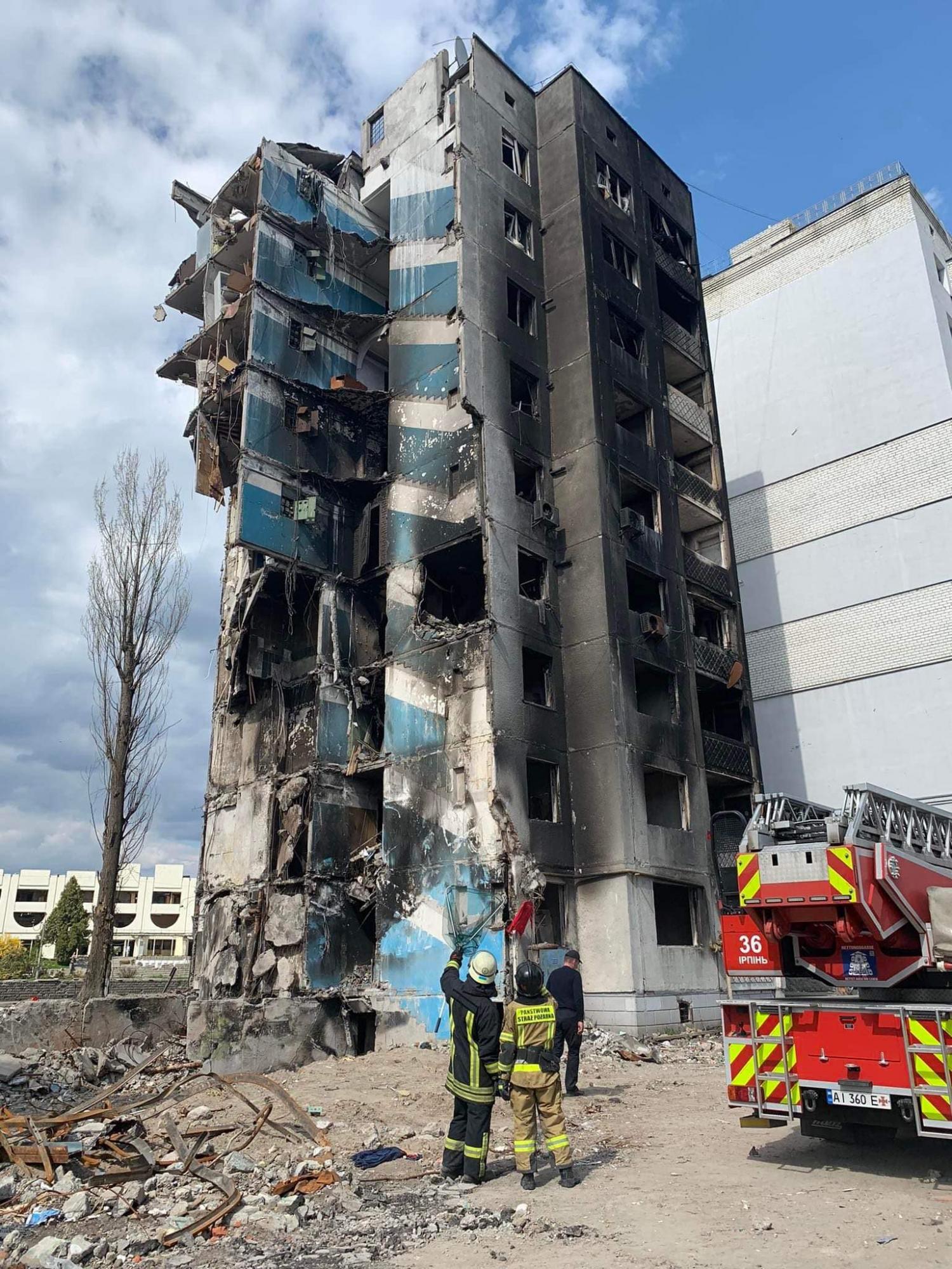 У Бородянці врятували кота, який опинився на 7 поверсі зруйнованого будинку