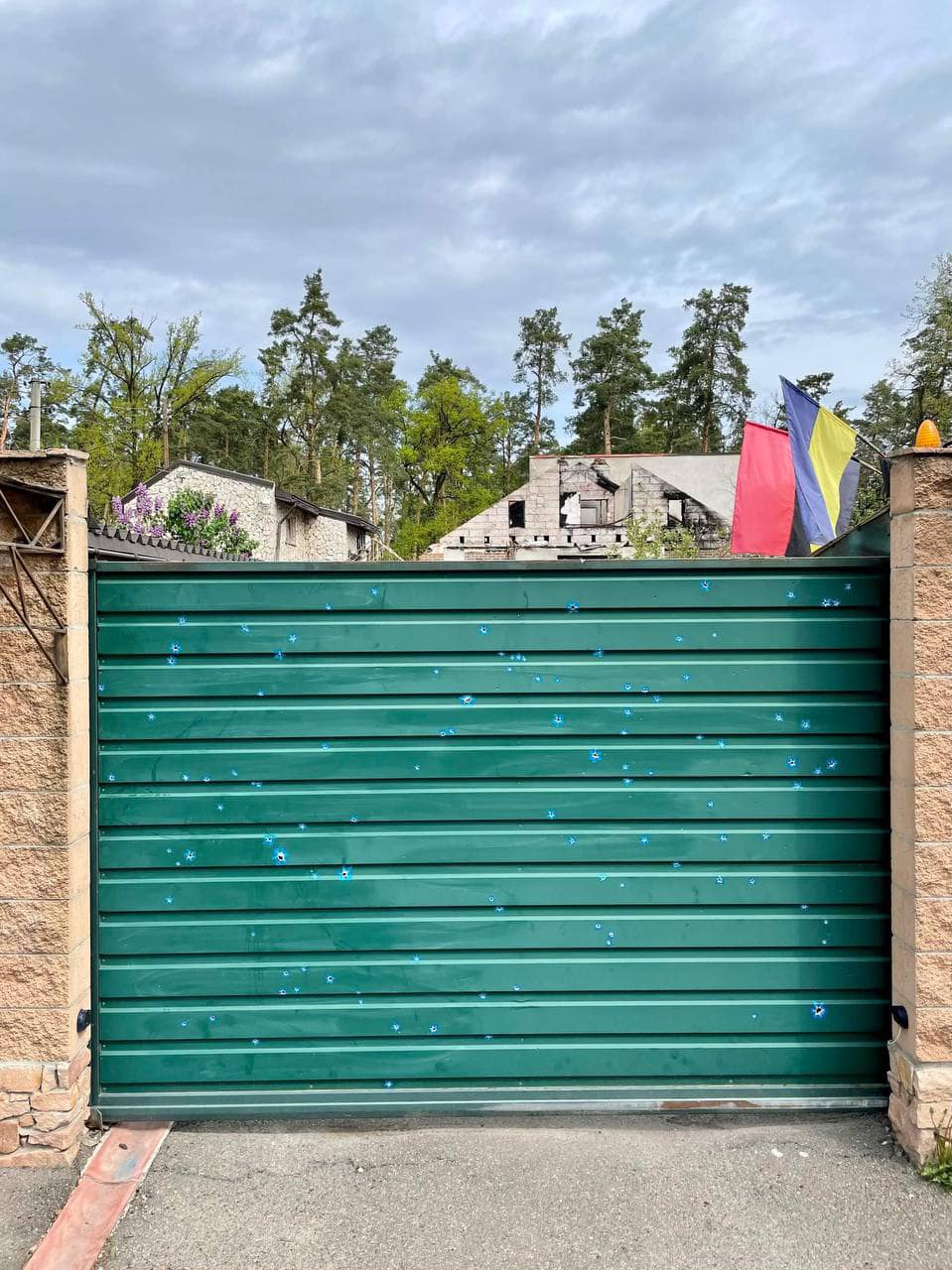 В Буче художница "превратила" отверстия от пуль в цветы (фото)