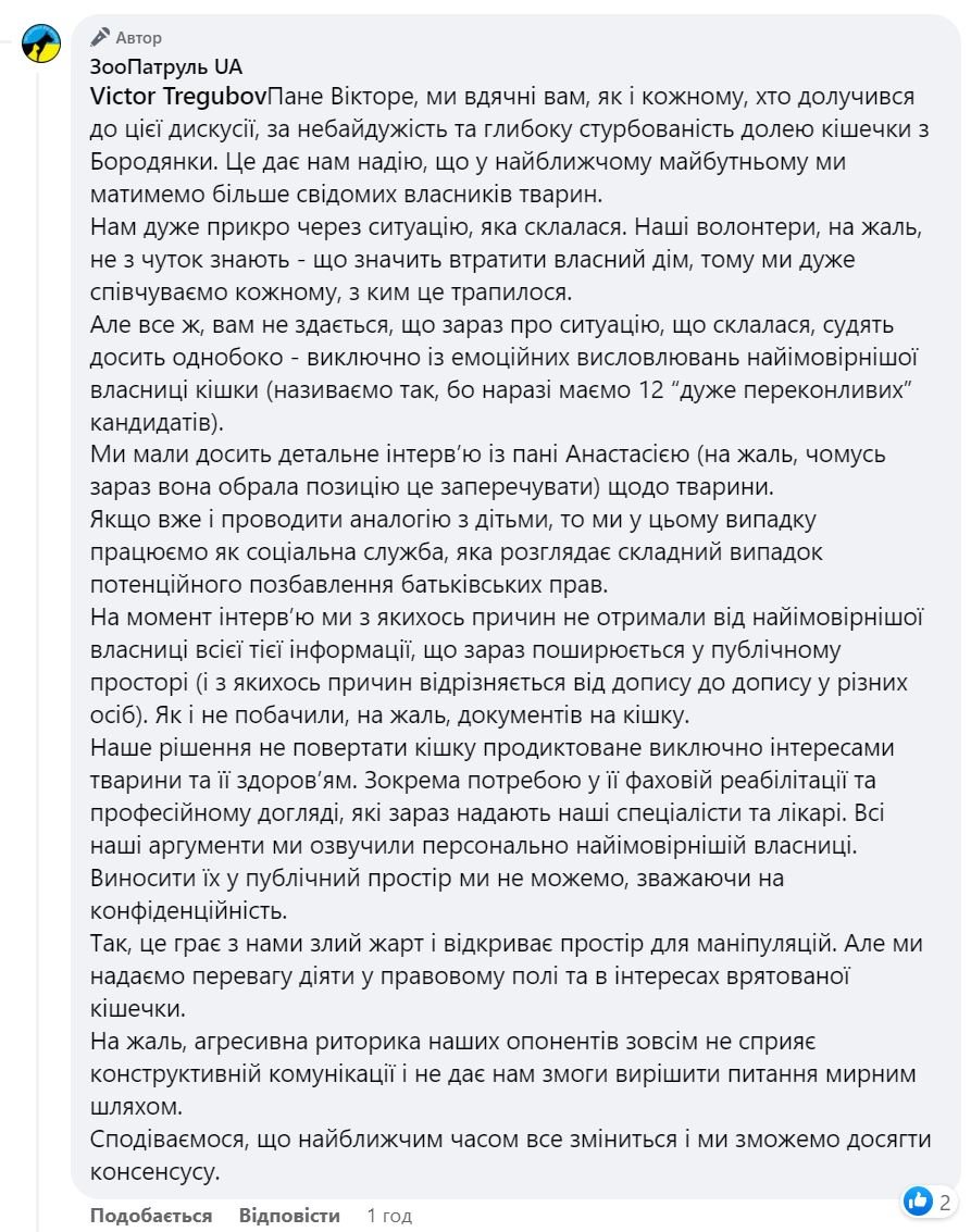 Стала знаменитою кішку з Бородянки не віддають господині: деталі скандалу