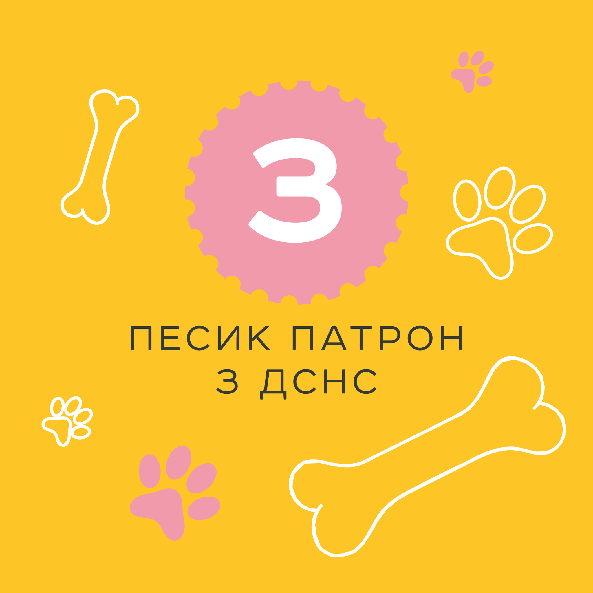 Пес Патрон, Героям Слава, Москва палає: Укрпошта оголосила голосування за нові марки