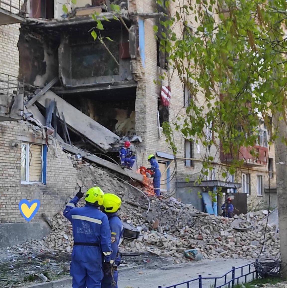 Возле Бучи из-под завалов дома спасли кота редкой породы: Бигги выжил чудом (фото)