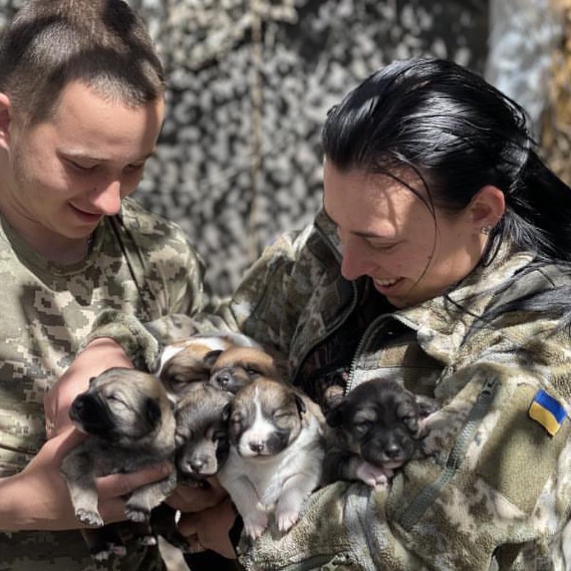 "Если умирать - то всем вместе. Но своих не брошу". Как во время войны выживает приют для животных в Днепре
