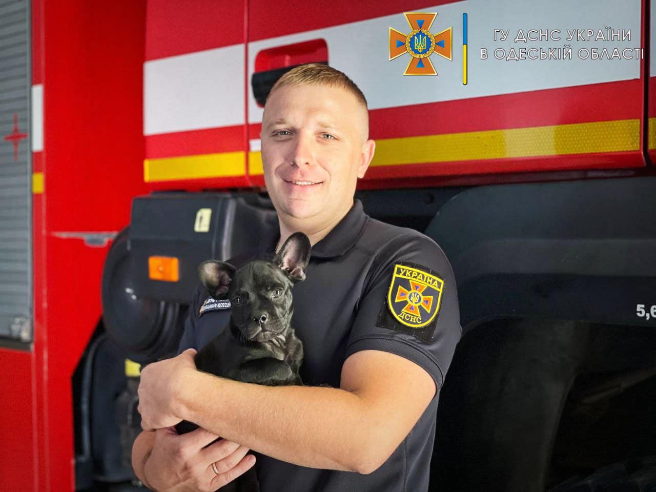 Одеські рятувальники показали свого пса-талісмана: Мажор може стати конкурентом Патрону