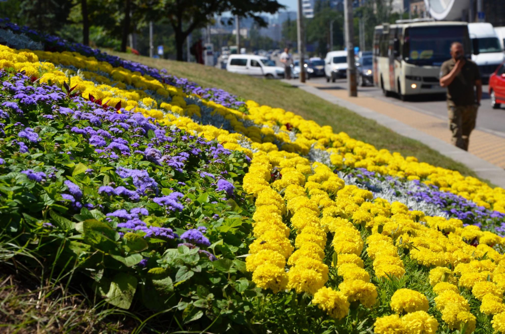 У Києві з'явився квітучий живий пам'ятник мужності героїв "азовців": яскраві фото