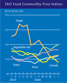 Світові ціни на продовольство знижуються: що подешевшало за останній рік