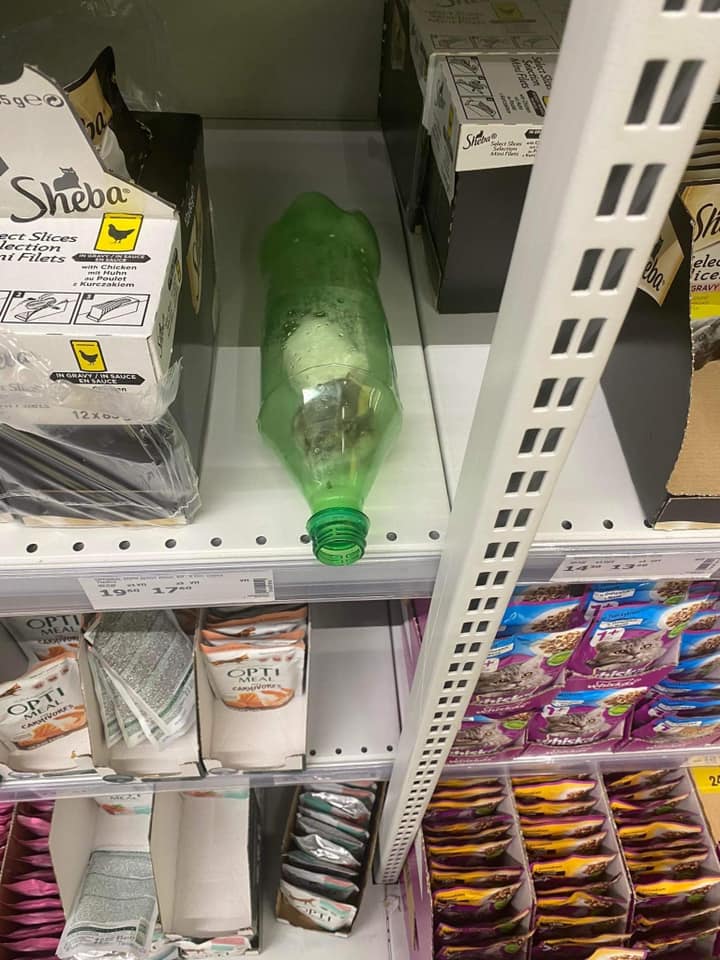 У київському супермаркеті на полиці з котячим кормом виявили хом'яків у пляшці (відео)