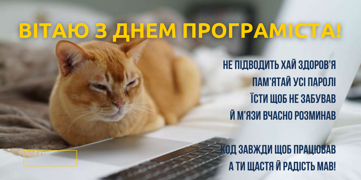 День комп'ютерника і програміста 2024: історія свята і привітання