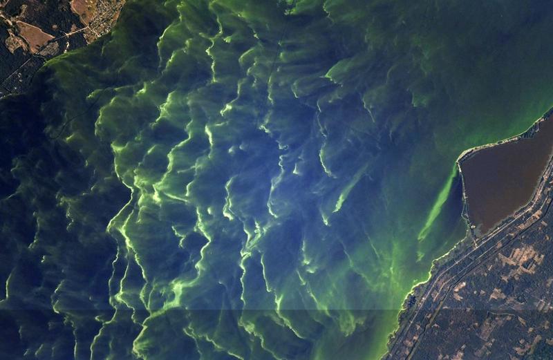 Осенний Киев сфотографировали из космоса: впечатляющие фотографии