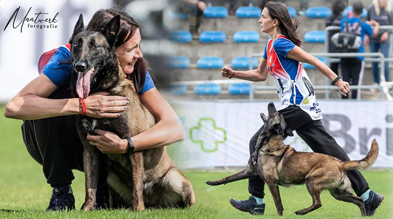 Собака Бліка з Нацгвардії стала чемпіонкою світу: неймовірні фото й історія героїні