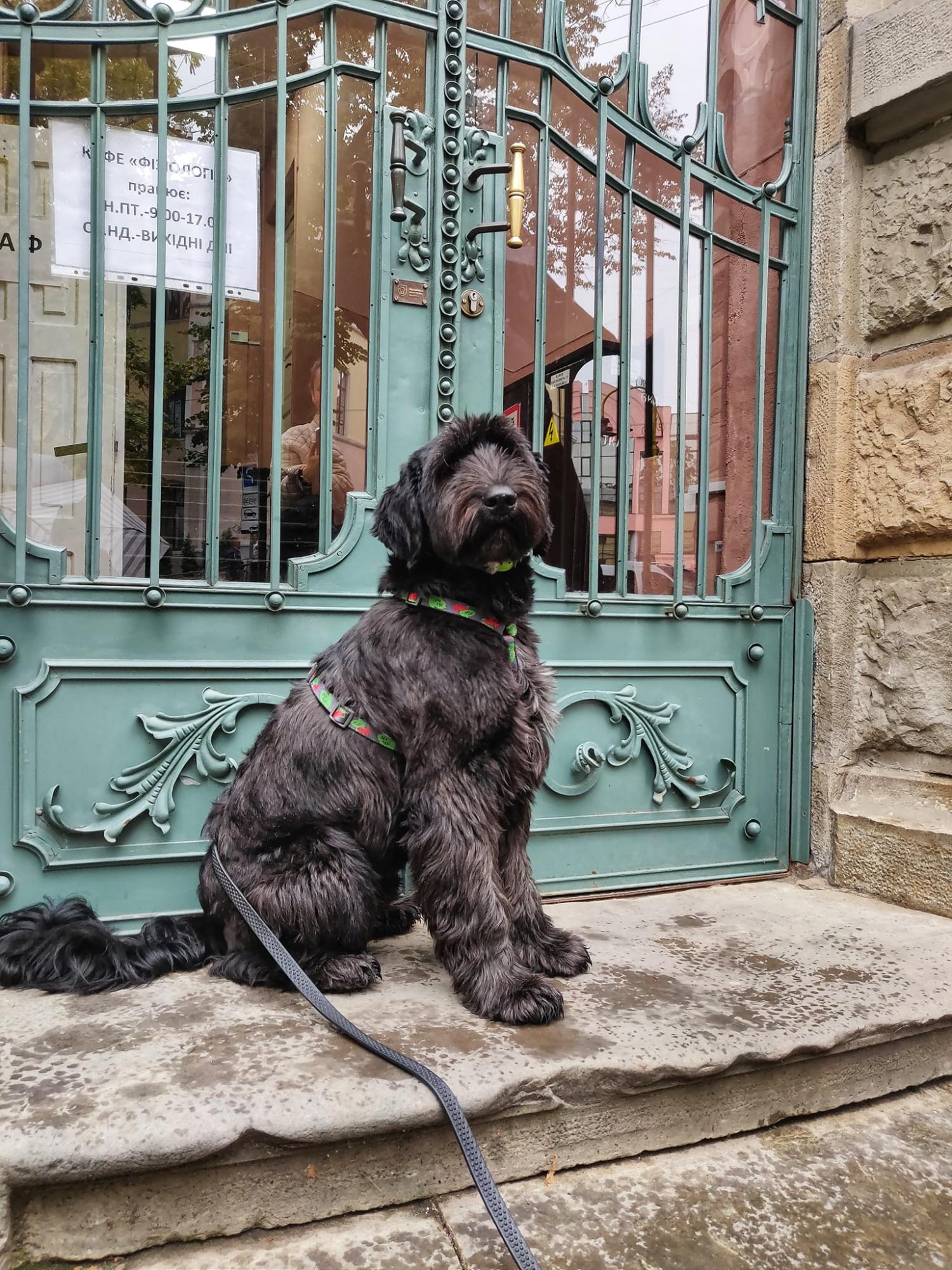 "Ми відновлюємо пам'ять". Як франківчанка зберігає історію, реставруючи старовинні двері