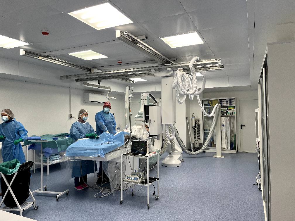 Ни одного разреза: украинские медики спасли жизнь женщине с огромной аневризмой