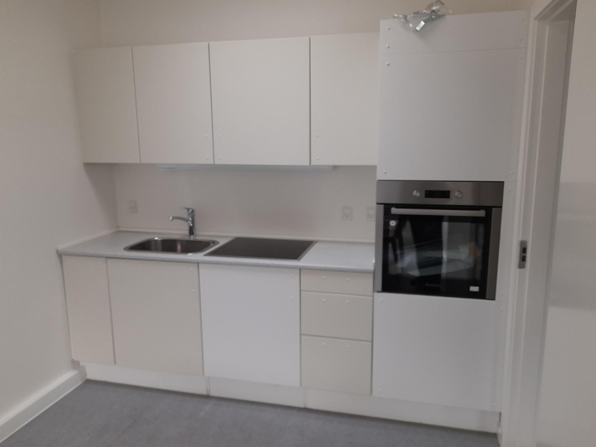 У Данії відкрили нове житлове містечко для біженців з України: як воно виглядає (фото)