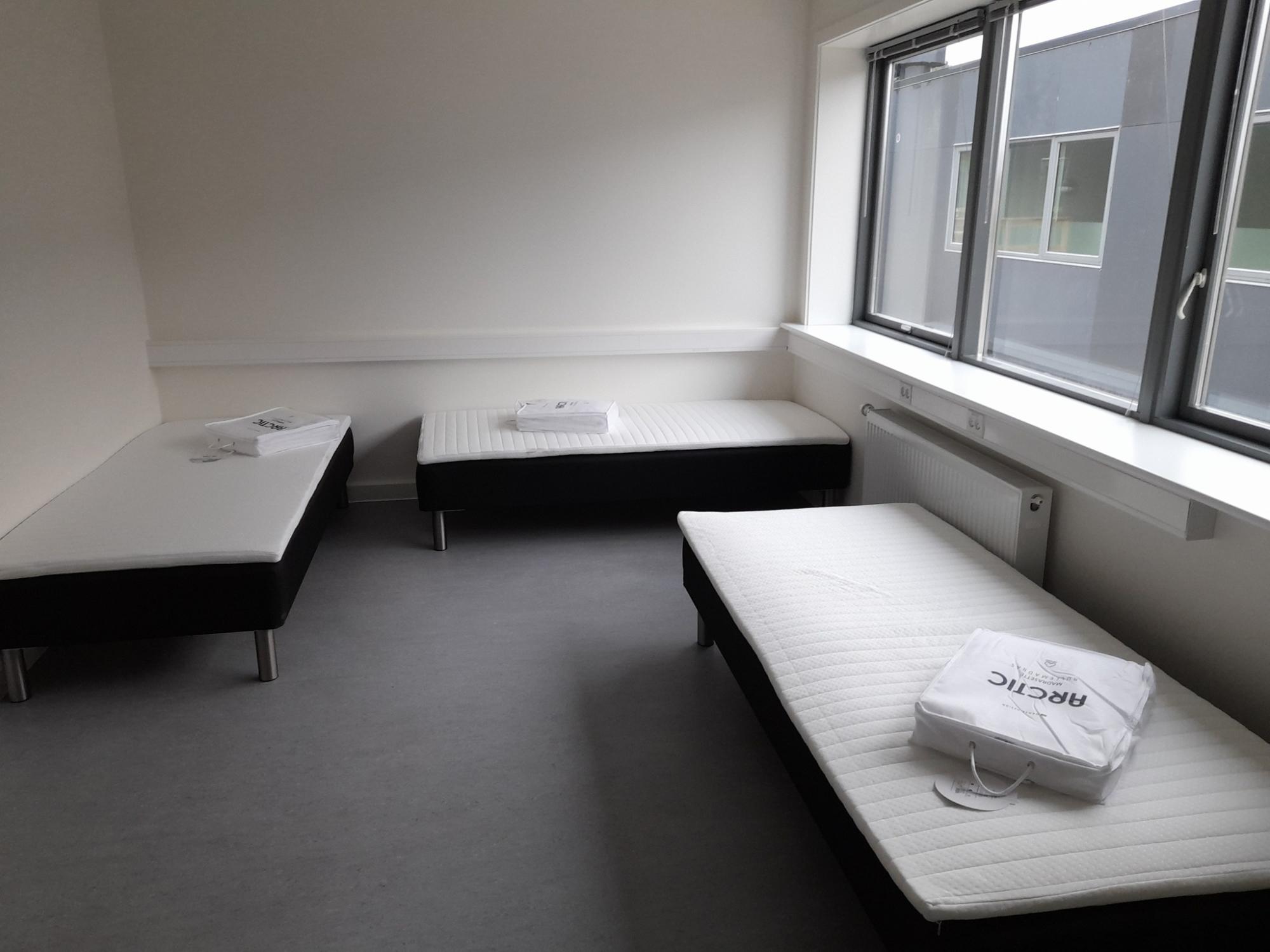 У Данії відкрили нове житлове містечко для біженців з України: як воно виглядає (фото)