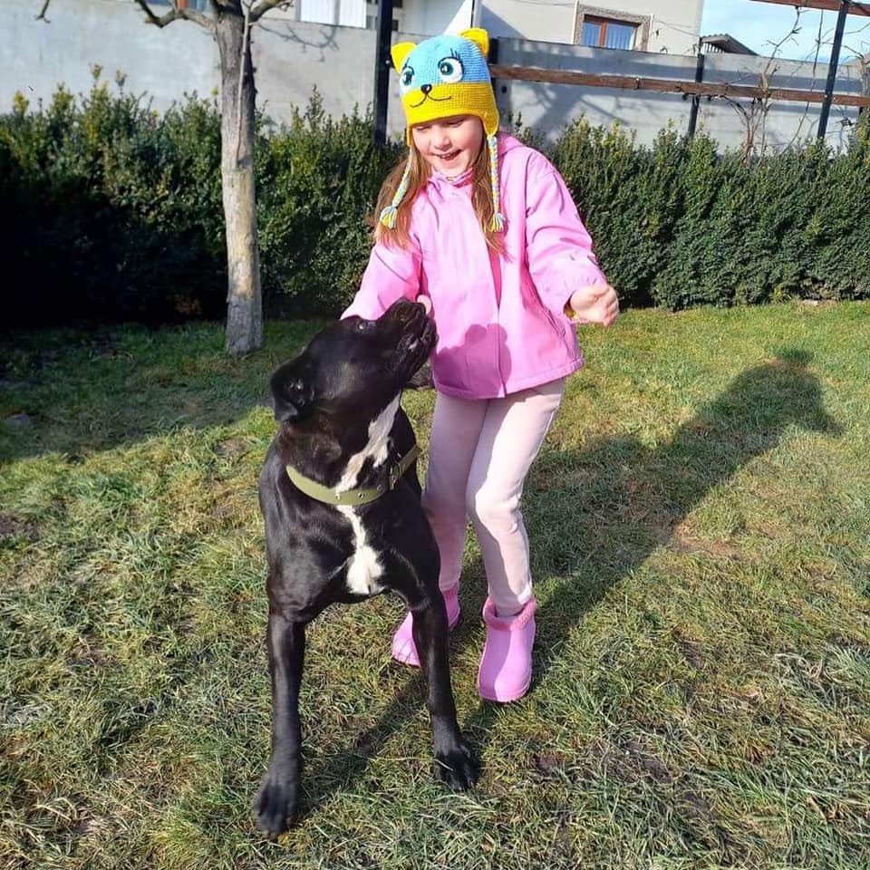 Семья погибшего защитника приютила собаку, которую военный приручил на фронте (фото)