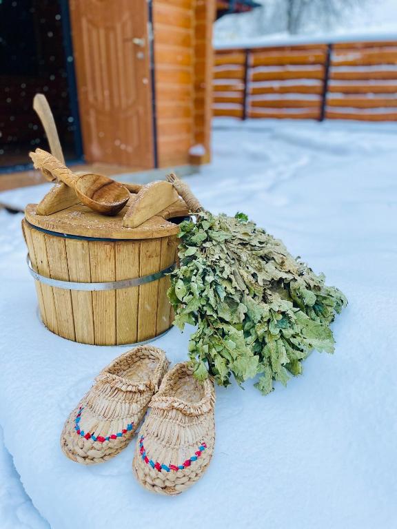 Весенние выходные в Карпатах: топ домов и коттеджей, где можно отдохнуть на природе