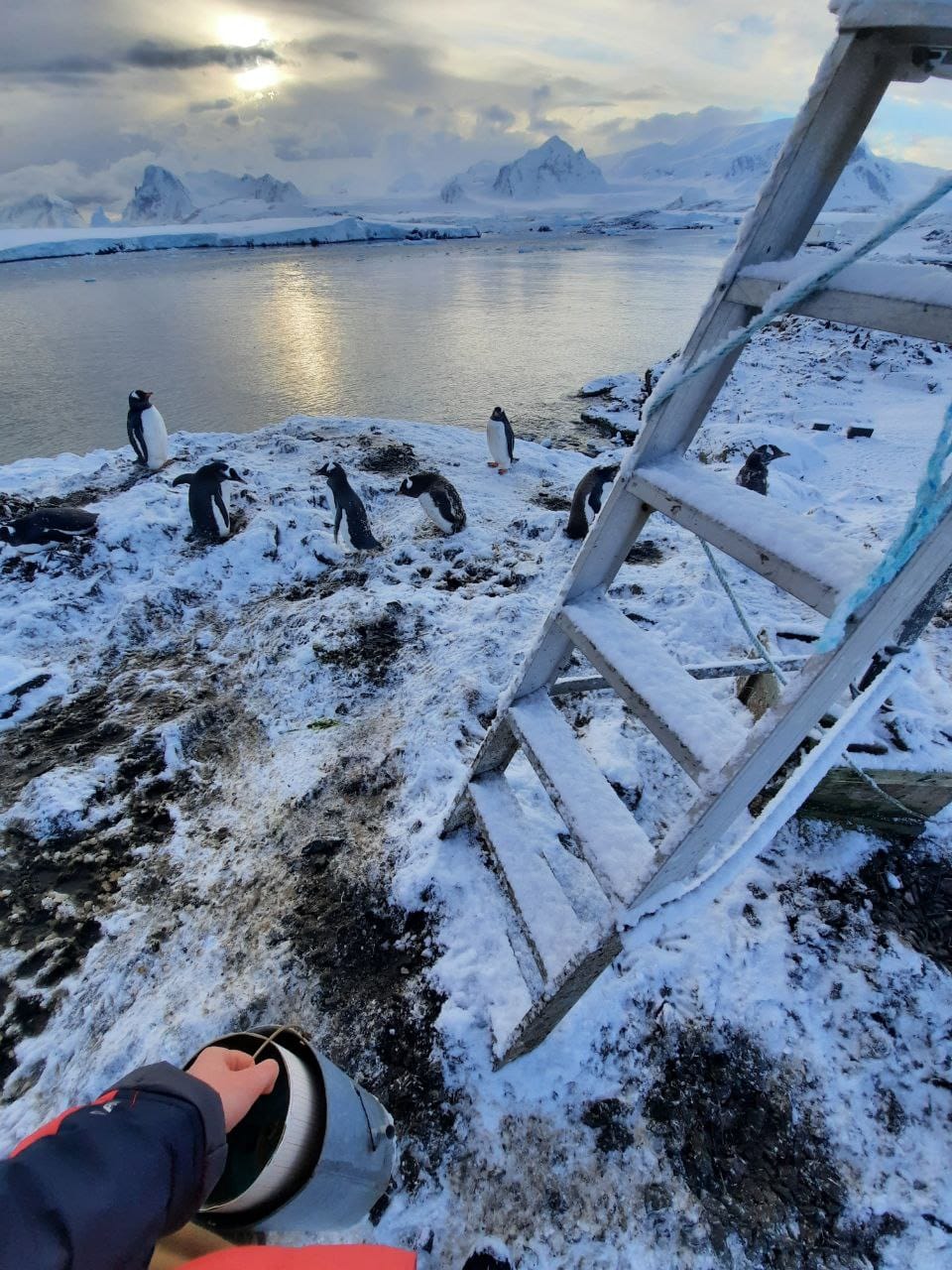 Не только погоду передавать: зачем нужны метеорологи на станции Вернадского (фото)
