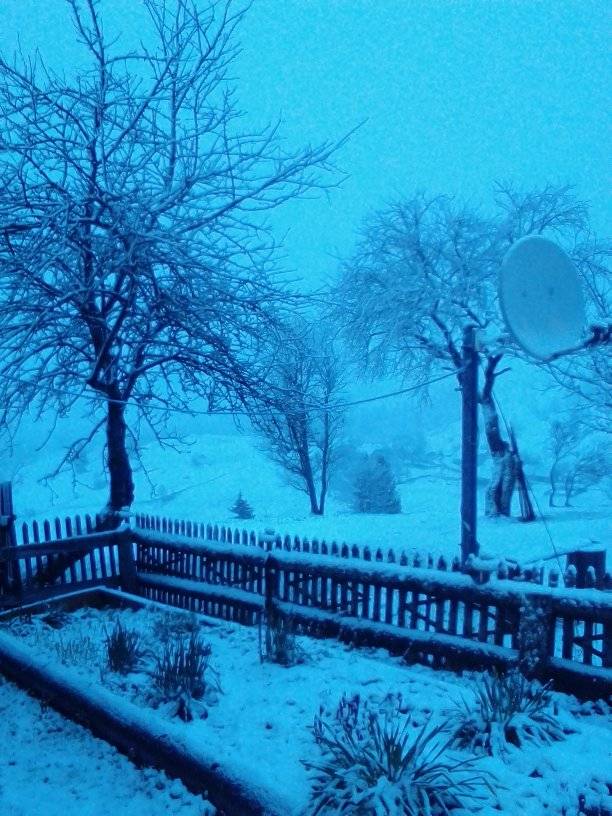 Украинское село засыпало снегом в разгар весны: фото аномального явления