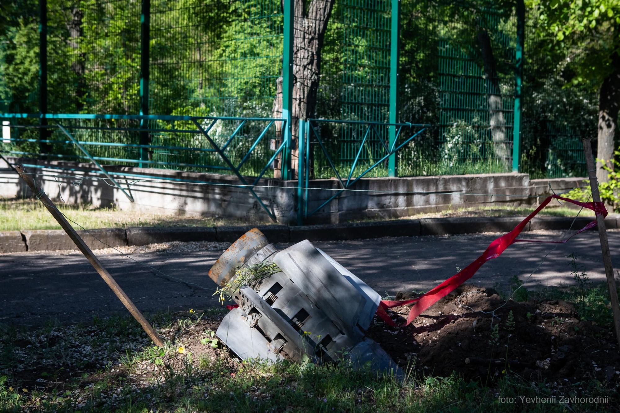 Тварин врятувало дерево: що зараз відбувається в київському зоопарку після падіння уламка (фото та відео)