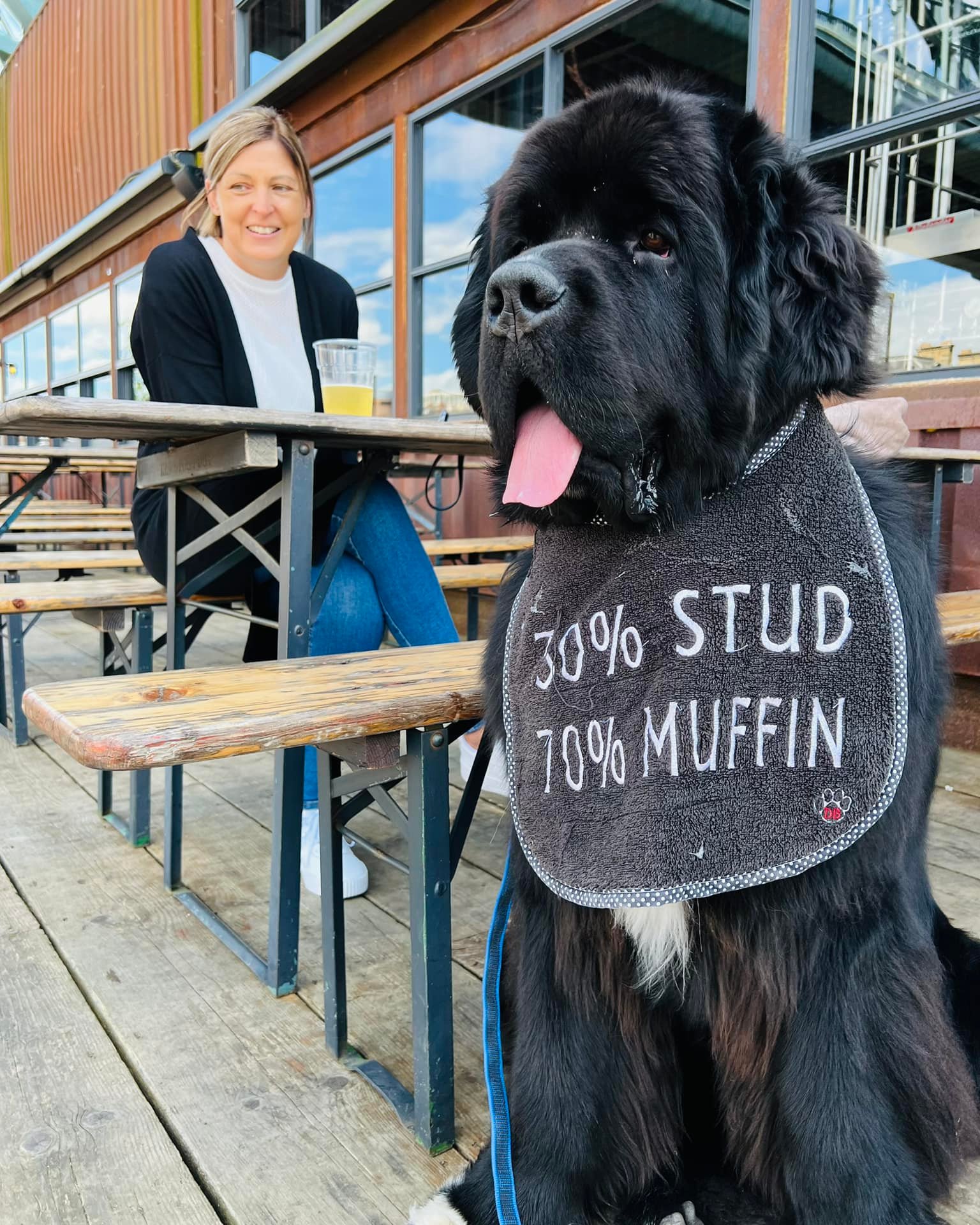 Малыш Шерман стал звездой сети: таких собачек вы точно не видели!