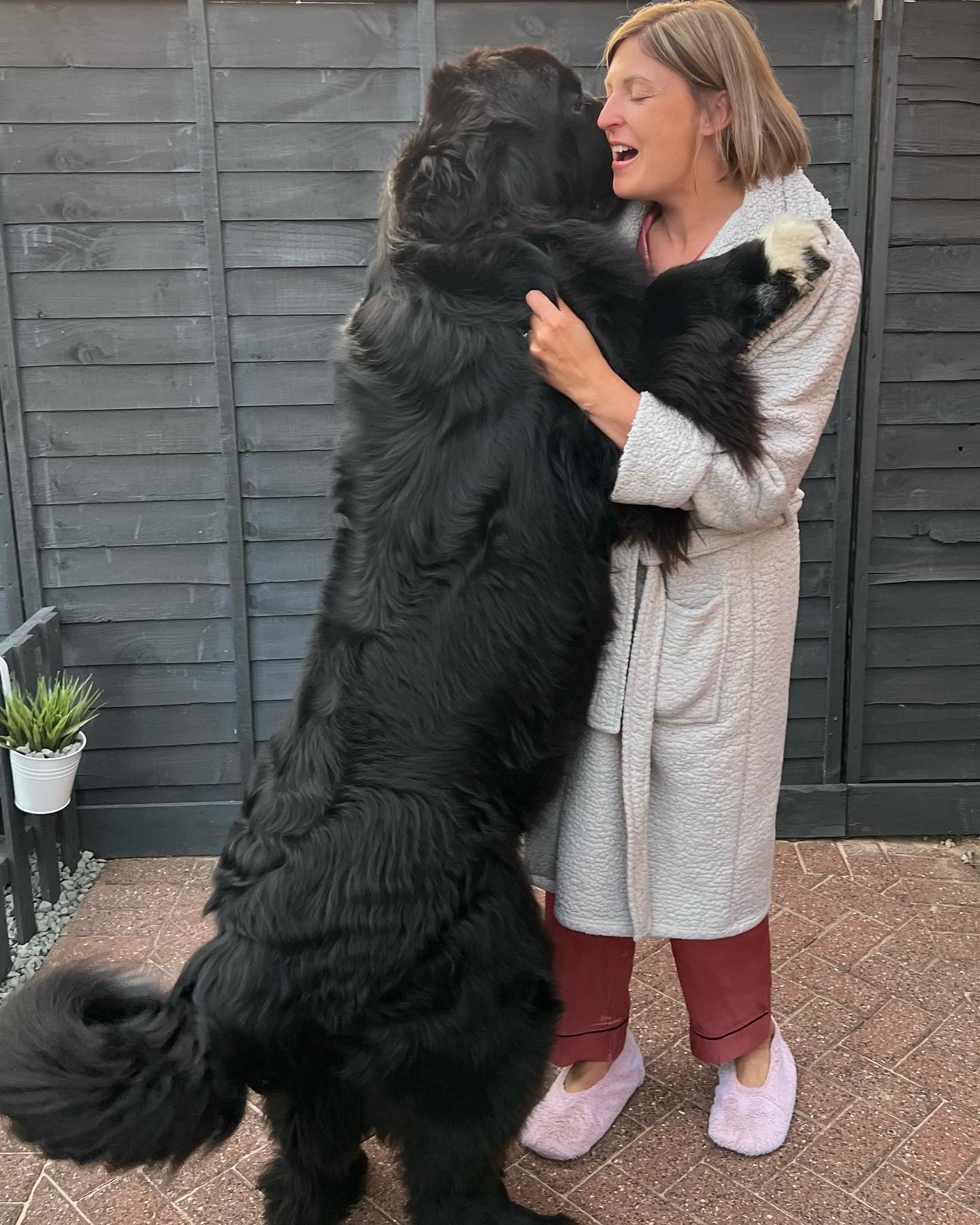 Малыш Шерман стал звездой сети: таких собачек вы точно не видели!