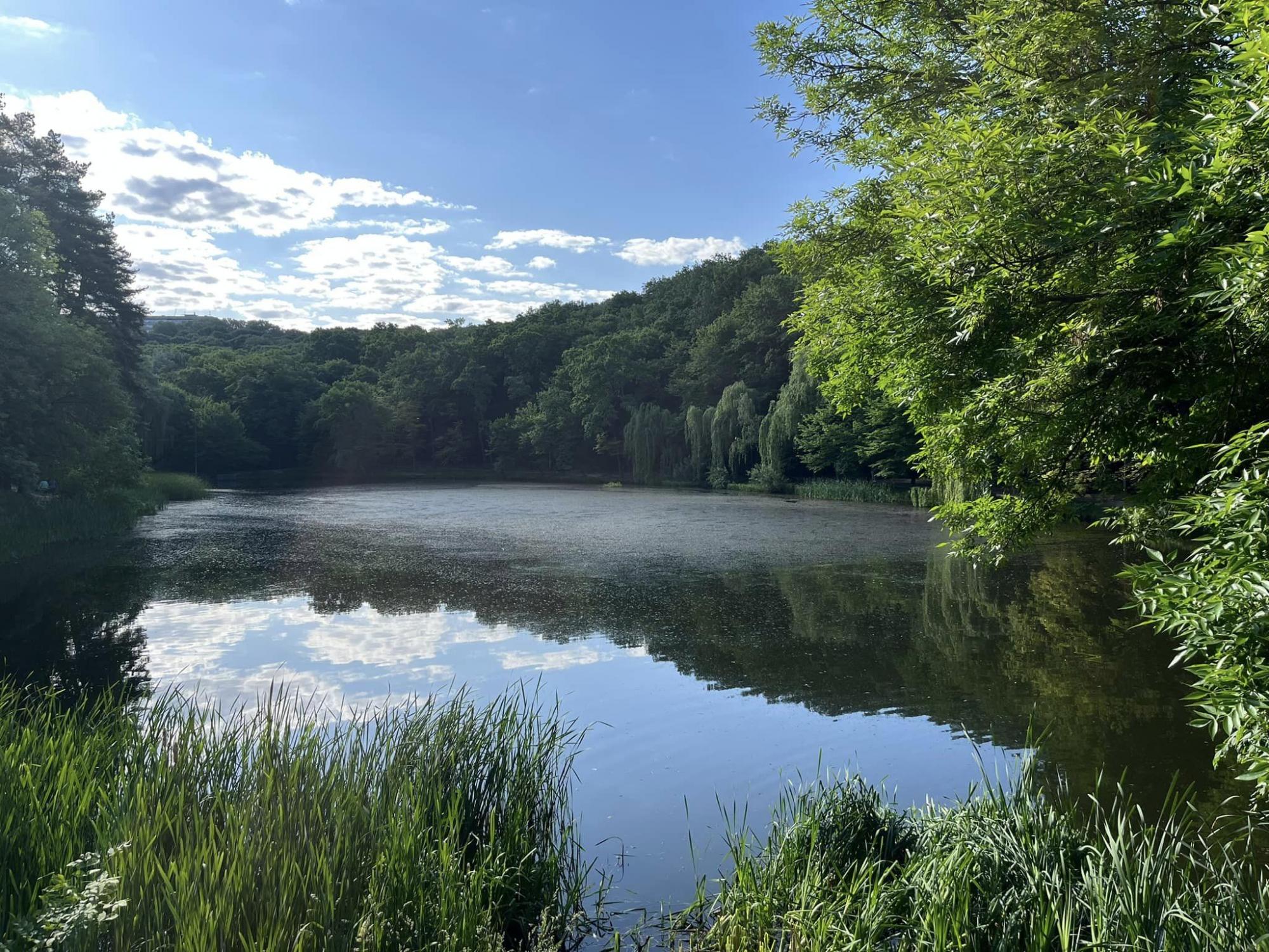 Вода в бульбашках, риби біля берега. В одному із парків Києва – катастрофа з озерами (фото)