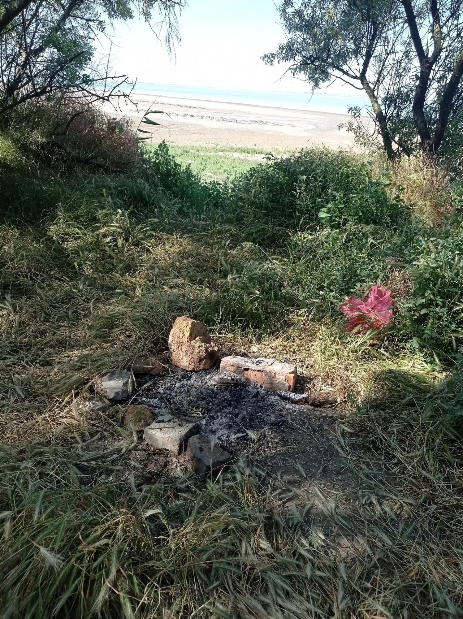 Жгут костры и разрушают гнезда. Отдыхающие отпугивают розовых фламинго под Одессой